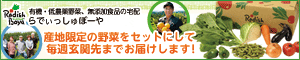 radishboya2596770